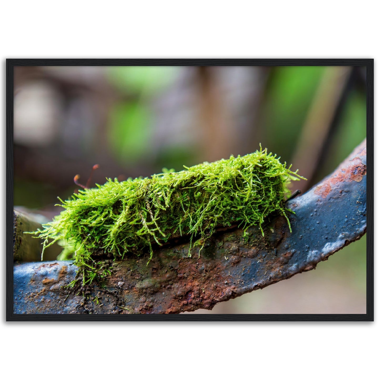 Rusted chair | 1