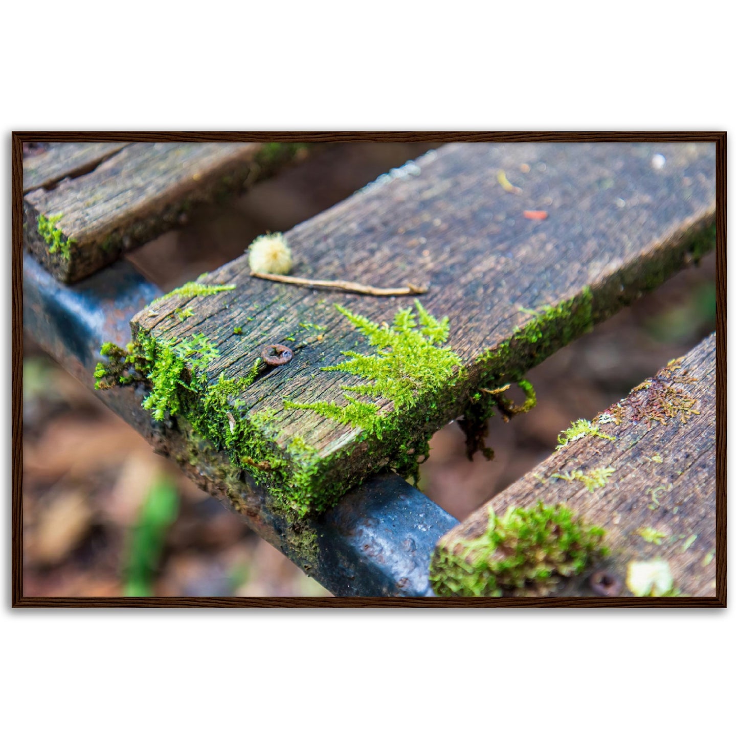 Rusted chair | 2