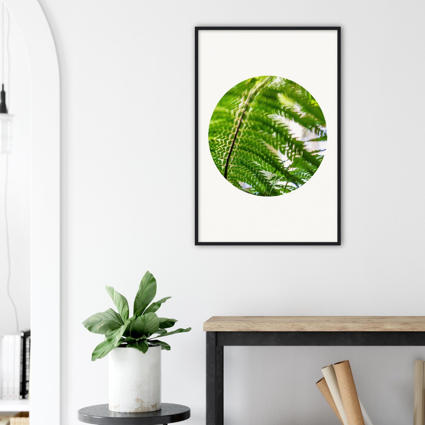 Moving ferns – circle